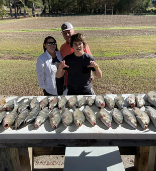 Guided Striped Bass Fishing 